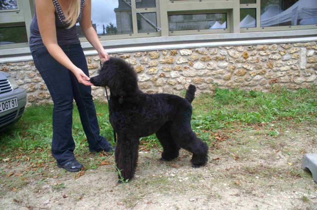 foire-haricots 2011-09-17et18